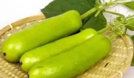 烟台上市里吃瓜,吃瓜群众眼中的行业盛宴