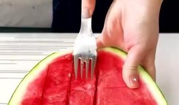 吃瓜塑料叉子,揭秘日常生活中的环保挑战