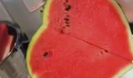 吃瓜就爱小西瓜,揭秘“吃瓜就爱小西瓜”的流行之谜