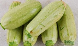 酒精吃瓜,揭秘酒精与吃瓜的奇妙搭配