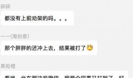 吃瓜群众干架视频播放,一场网络狂欢的视觉盛宴