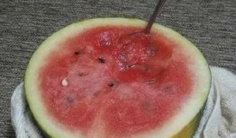 刀小刀吃瓜免费