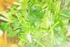吃瓜仔视频大全,揭秘娱乐圈幕后故事