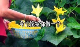 花子吃瓜,揭秘娱乐圈背后的秘密与八卦