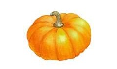 吃瓜2018年,2018年吃瓜群众年度大盘点