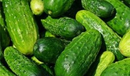 梦见在瓜地旁卖瓜吃,瓜地旁的卖瓜食趣