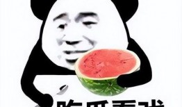 正经吃瓜铭铭,网络红人的崛起与影响力