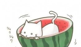 qq动漫吃瓜群,揭秘二次元世界的欢乐与争议