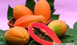 做梦吃大子瓜,大子瓜的奇幻之旅