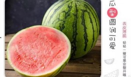 吃瓜有什么技能,解锁吃瓜技能全攻略