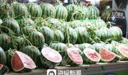 吃瓜日常2,揭秘娱乐圈背后的秘密与真相