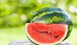 吃瓜照片夏日,清凉一夏，尽享瓜果盛宴