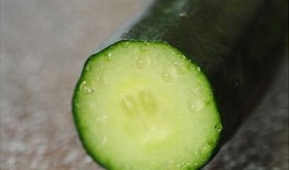 怎么制作吃瓜镇,探寻神秘小镇的制作秘籍