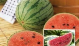 喜总吃瓜,揭秘娱乐圈幕后风云