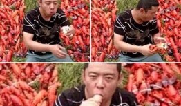 网红吃瓜骗局揭秘,揭秘背后真相，警惕网络陷阱