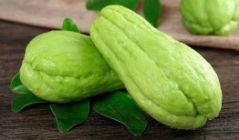 东湾吃瓜,揭秘吃瓜群众的狂欢盛宴