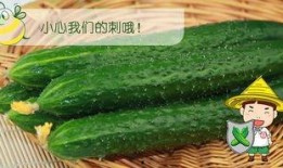 理发跟吃瓜更配,夏日休闲新风尚