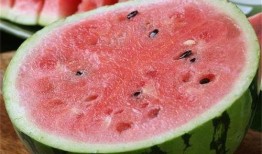 麒麟剧社吃瓜,揭秘吃瓜背后的精彩故事