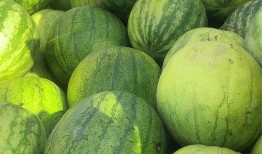 喜总吃瓜,揭秘娱乐圈幕后风云