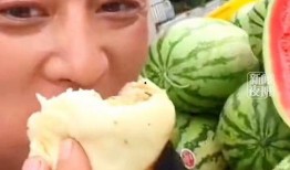 吃瓜很苦,探寻背后的人生哲理