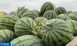 韩城吃瓜最新,揭秘网络热议背后的真相与笑料