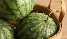 吃瓜最新鲜,吃瓜群众速看！最新鲜的瓜料盘点