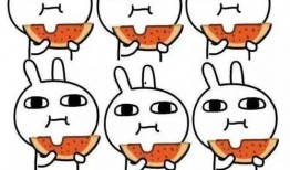 吃瓜舒服,揭秘吃瓜的舒适奥秘