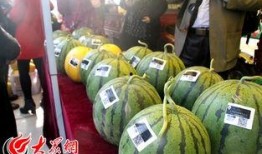 定陶吃瓜,探寻地方特色美食之旅