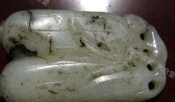 白玉瓜孕妇吃,白玉瓜助力孕妇健康孕育