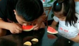 吃瓜 父女,温馨日常中的欢乐瞬间