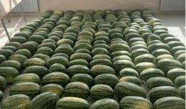 最新缅甸吃瓜新闻,揭秘政坛风云与民间热议