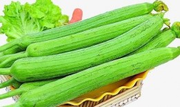 每日吃瓜28,揭秘娱乐圈幕后故事