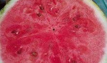 南宁医院吃瓜,揭秘背后真相与网络舆论风暴