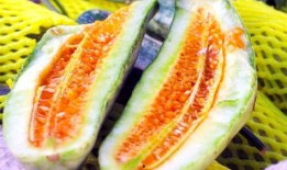 阿瓜吃果果,一场甜蜜的冒险之旅