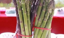 东湾吃瓜,揭秘吃瓜群众的狂欢盛宴