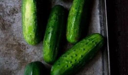 瓜哥喜欢吃瓜,探寻瓜哥的美食之旅