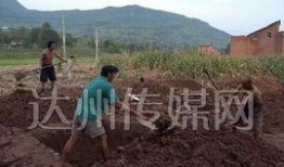 宣汉南坝吃瓜,夏日消暑新宠——吃瓜体验记