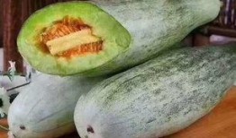 吃瓜最新鲜,吃瓜群众速看！最新鲜的瓜料盘点