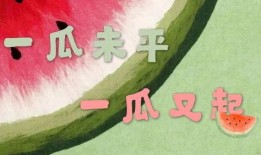 什么综艺可以吃瓜