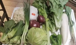 上海团长吃瓜,揭秘背后的真相与反思