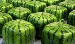 吃瓜.中国 com,网络舆论场上的热点追踪与深度解析