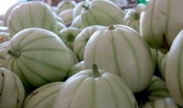 带皮吃的小白瓜,带皮食用的美味小白瓜