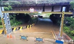 德国吃瓜群,揭秘德国人的日常生活与趣味