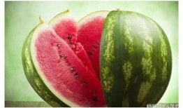 吃瓜群名称大全,趣味横生的社交圈命名艺术