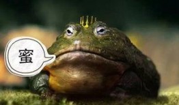 吃瓜蛤蟆头套,潮流玩具背后的故事与魅力