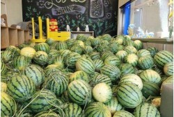 上哪儿能免费吃瓜,上哪儿能畅享夏日清凉