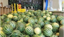 上哪儿能免费吃瓜,上哪儿能畅享夏日清凉