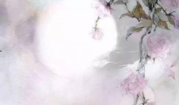 古风吃瓜文案短句,品味千年的瓜田乐趣