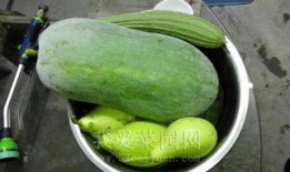 吃瓜网 热门大瓜