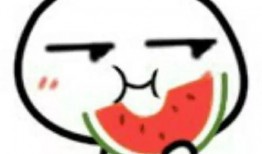 吃瓜发的句子,揭秘网络热句背后的故事